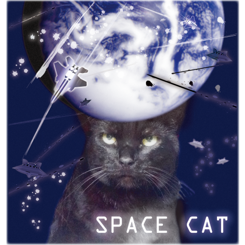 Space cat