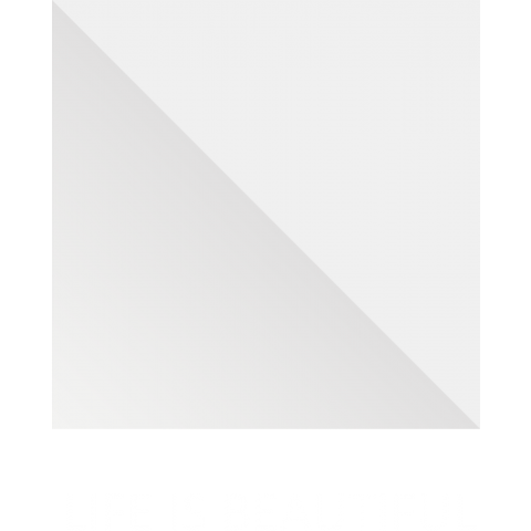 LIFE IS BEAUTIFUL