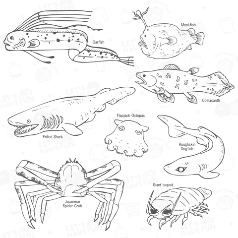 魅惑の深海魚たち
