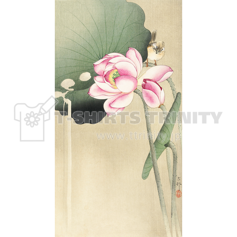 小原古邨 蓮に雀 Ohara Koson / Songbird and Lotus