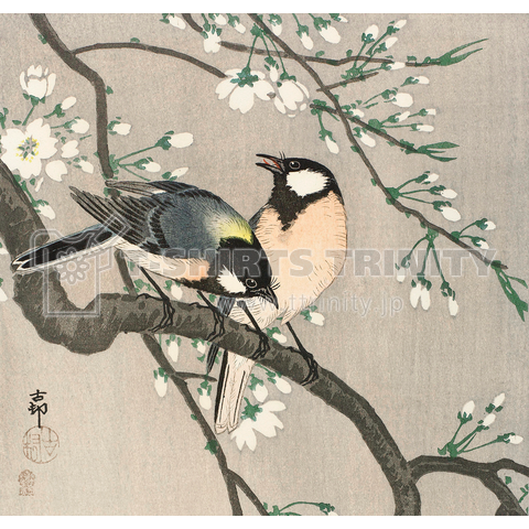 小原古邨 桜の枝に四十雀 Ohara Koson / Tits on Cherry Branch