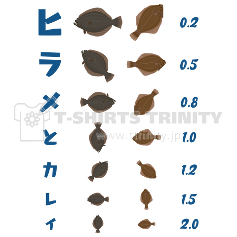 [☆両面] ヒラメとカレイ【視力検査表パロディ】