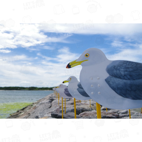 seagull