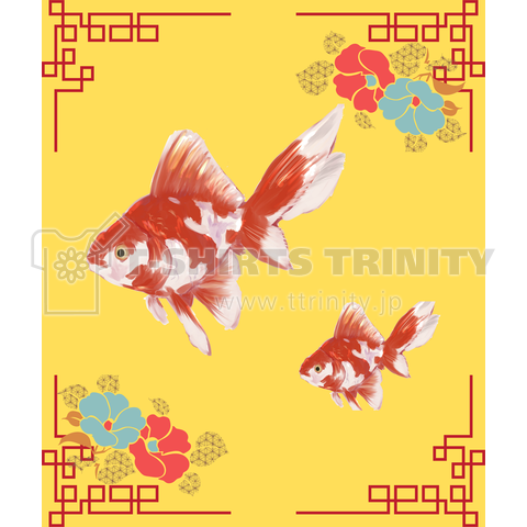 中華 金魚