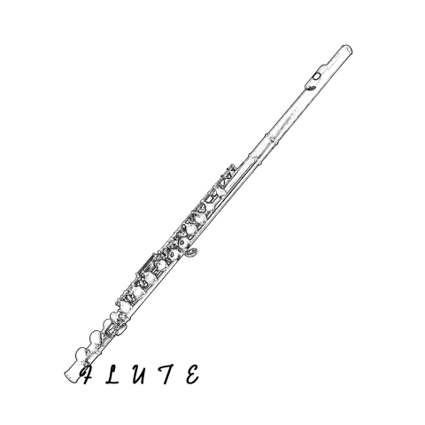 FLUTE