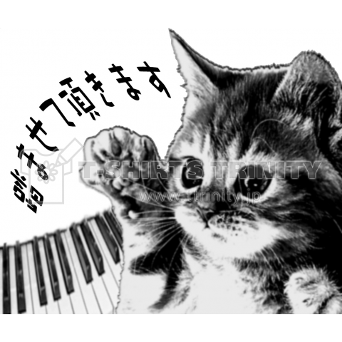 猫がピアノを踏ませて頂きます