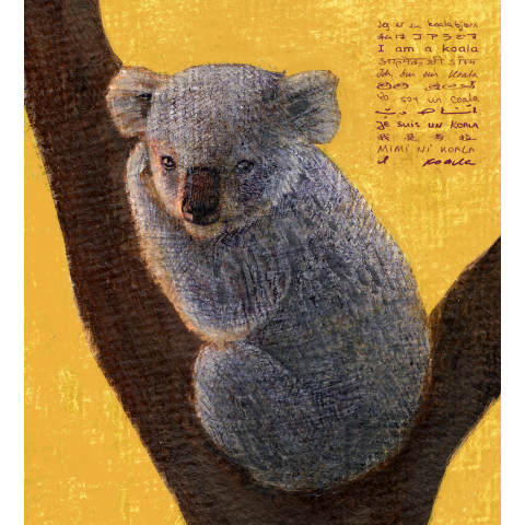 コアラ-Koala