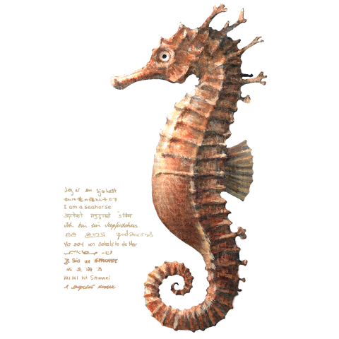 Seahorse-竜の落とし子- Seahorse-竜の落とし子-