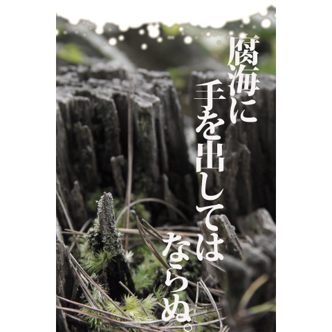 腐海に手を出してはならぬ。