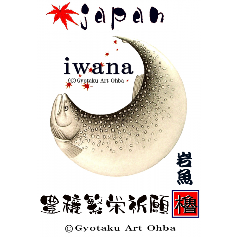 イワナ!【岩魚】渓流の魚・・あらゆる生命たちへ感謝と祈りを捧げます。