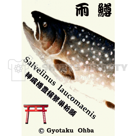 雨鱒【アメマス】JAPAN●あらゆる生命たちへ感謝と祈りをささげます。