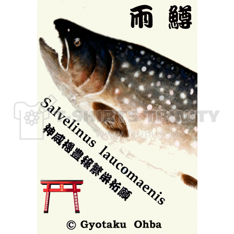 雨鱒【アメマス;あめます】Gyotaku;JAPAN【作家製作】●あらゆる生命たちへ感謝と祈りをささげます。
