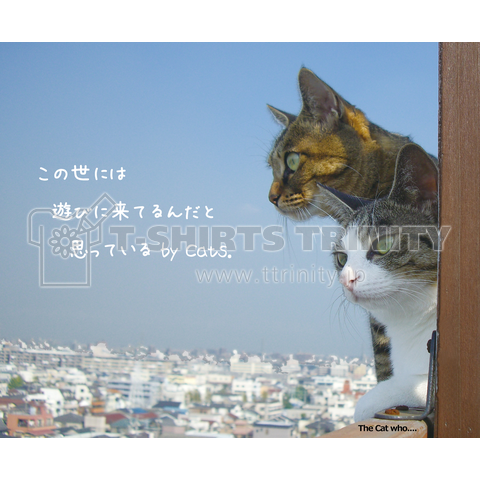 青空 Cats - 写真《図案位置 拡大縮小 文字入れ等 カスタマイズ可能》