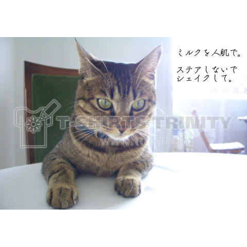 猫は着席する《文字変更可能テンプレート》