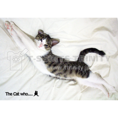 伸びる子猫 - The Cat who....