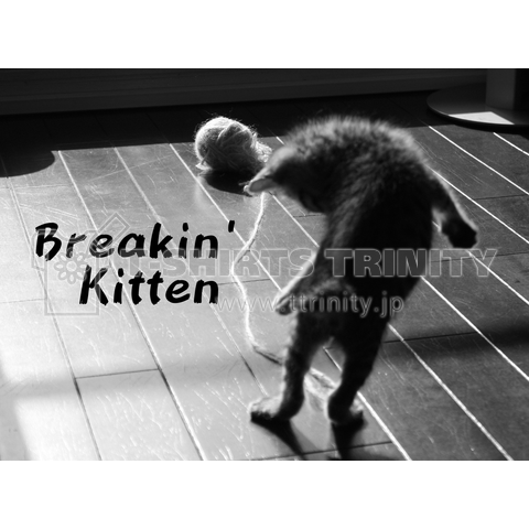 仔猫のブレークダンス - The Cat who....