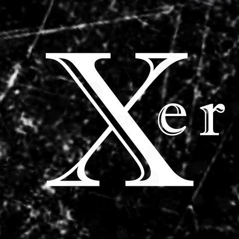 Xer - これを着ればあなたも今日から最先端「Xer」 239203I