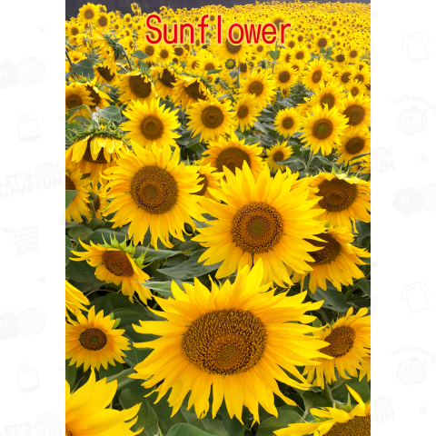 Sunflower《図案位置 拡大縮小 文字入れ スタンプ等 可能テンプレート》