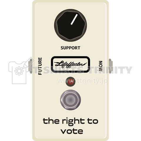 the right to vote