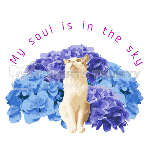 My soul is in the sky