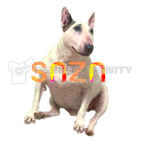 snzn_BullTerrier