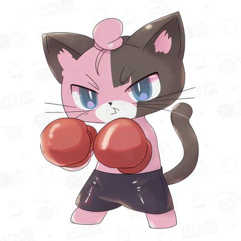 cat boxer 02