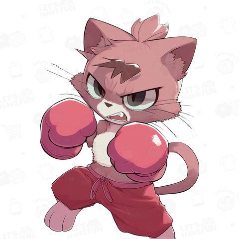 cat boxer 03