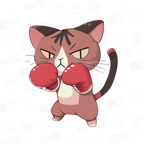 cat boxer 04