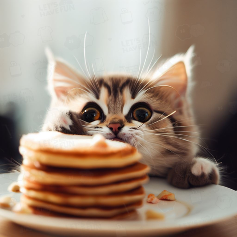 Pancakes & Cats(ホットケーキ&猫)