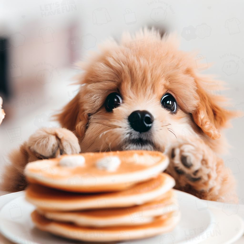 Pancakes & Dogs(ホットケーキ&犬)