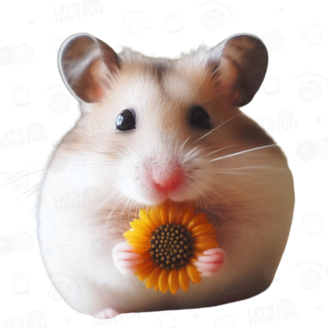 Seeds & Hamsters(種 & ハムスター)