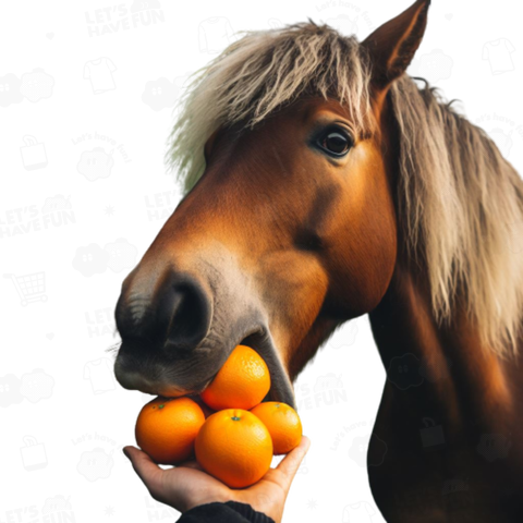 Horse eating oranges(みかんを食べる馬)