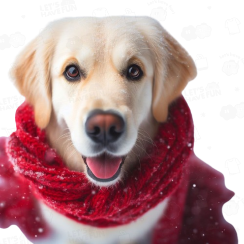 Dog with scarf(マフラーをつけた犬)