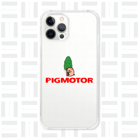 PIGMOTOR