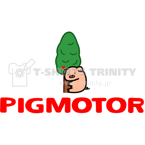 PIGMOTOR