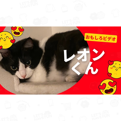 イケメン猫レオン君‼️可愛い‼️