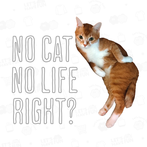 NO CAT NO LIFE RIGHT?【A】