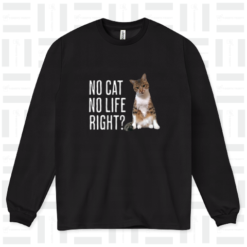 NO CAT NO LIFE RIGHT?【B】