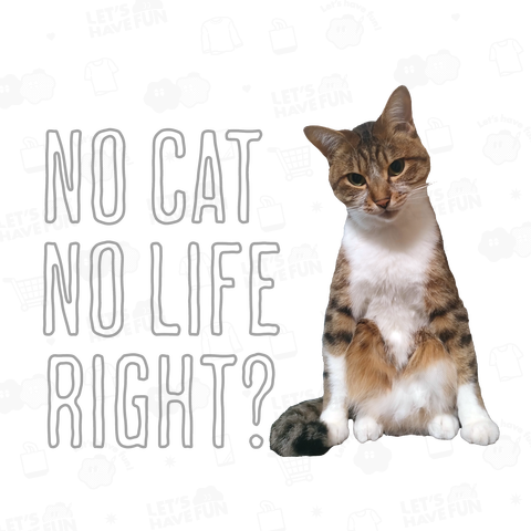 NO CAT NO LIFE RIGHT?【B】