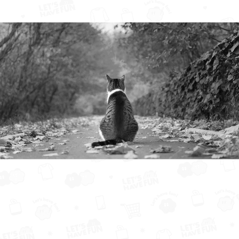 【猫】KEEP BELIEVING IN YOU ～自分を信じ続けること～【ver.文字白】