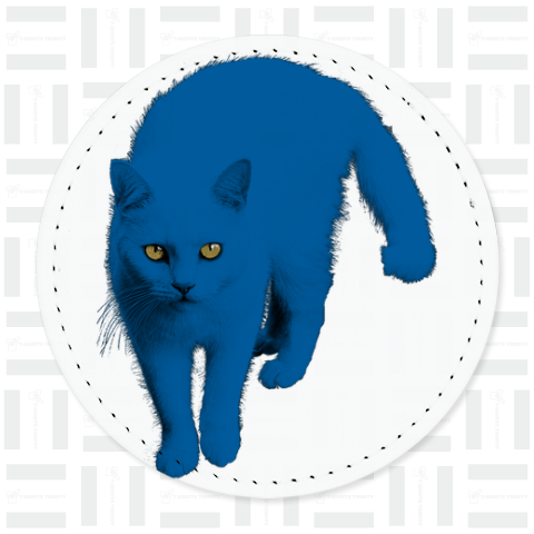 blue★cat