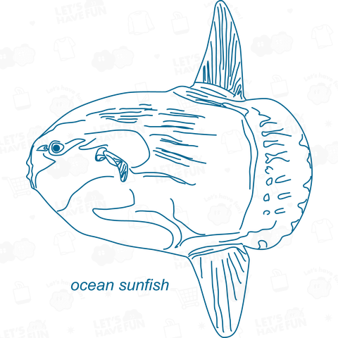 ocean★sunfish