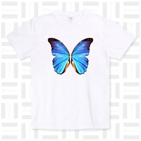 morpho★blue