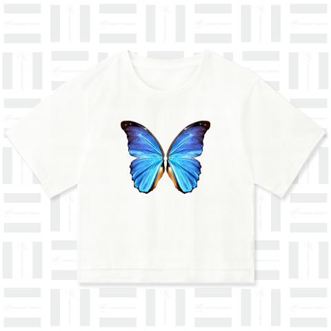 morpho★blue