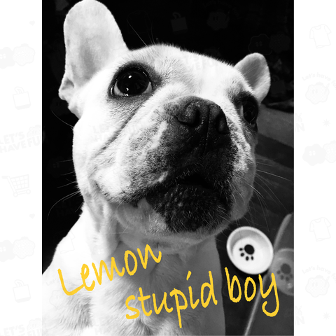 Lemon Stupid Boy