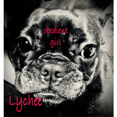 Lychee obedient girl