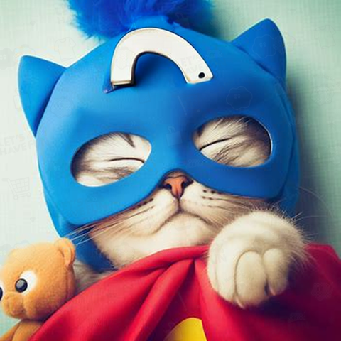 ネコ仮面ニャンダーBlueの「おやすみ」