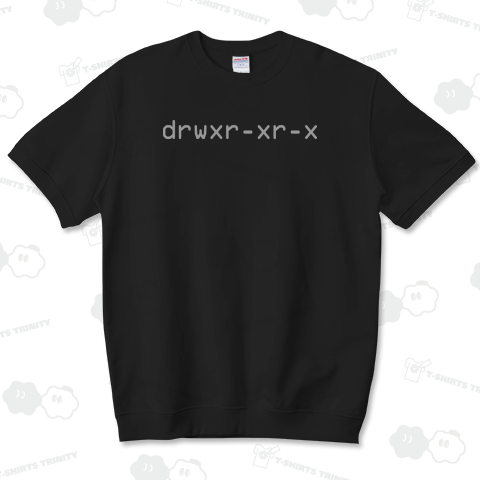 drwxr-xr-x