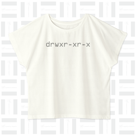 drwxr-xr-x