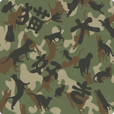 ステルス猫大好き